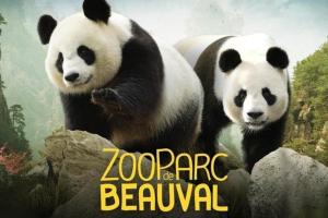 L'Or d'Anesses proche Zoo de Beauval photo 9