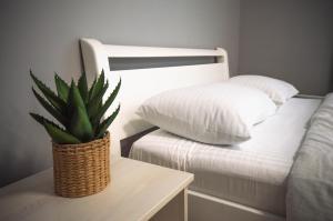 Kyiv Lesi 3 Studio Apartment