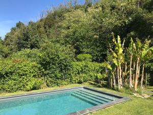 Maisons de vacances Le Pain de Lune Gite et Chambre d'hotes avec Piscine : photos des chambres