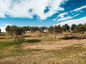 Quaint Farmhouse in Plagiari surrounded with Olive Trees Thessaloníki Greece