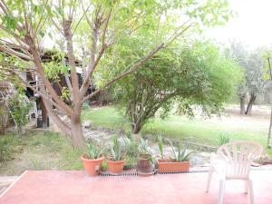 VIVIENDA TURÍSTICA LOS OLIVOS