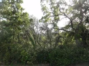 Gite le bagnol un coin de paradis - Maubec