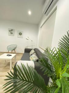 Nova Domus Apartamentos