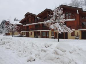 Appartements Multi residences Samoens Centre : photos des chambres