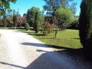 Maisons de vacances B&B La Douloire : photos des chambres