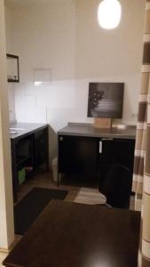 1-Raum Wohnung Eiche