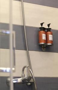 Procyon Boutique & Suites