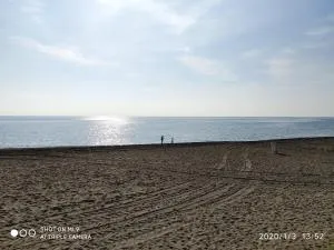 Adelfas Mar - Benajarafe