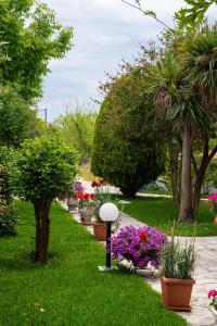 Sunny Garden Lefkada Greece