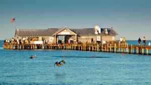 Runaway Bay 184 - 1652814