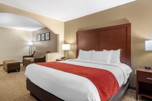 King Room - Non-Smoking room in Comfort Inn & Suites Macon North I-75