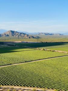 Chañarmuyo Casa de Huéspedes