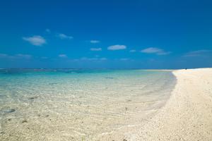 Regina Ishigaki Ocean Yonehara Two-Bedroom Villa