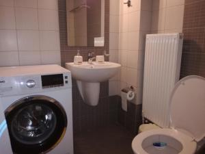 Spacious and Modern Downtown Apartment