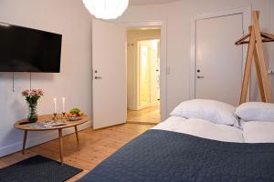 cozy one bedroom apartment on the ground floor in copenhagen sterbro