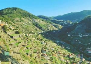 Madeira Island Villa Oceane Ribeira Brava