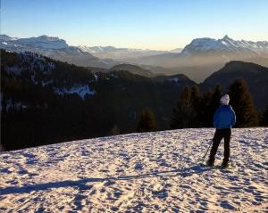 Chalets Le Petit Nid d'Amour, Proprietes Mont Amour : photos des chambres