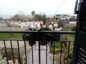 CASA VACANZE da Rosy