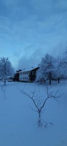 Guest House Tavaduri