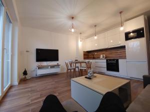 Cienista Myślibórz AN