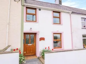 Bank House - Henllan