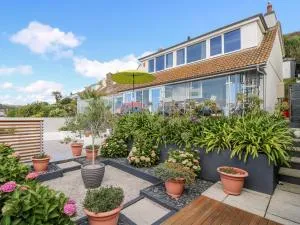 Rock Rose - Downderry