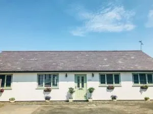 Orchard Cottage - Gwernymynydd