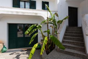 Biancaleuca Rooms & Suite