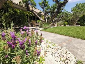 Hotels Hotel Sous les Figuiers : photos des chambres