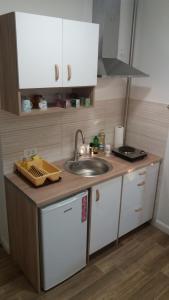 Single Suite Apartment