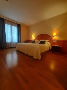 Double Room room in Hotel Estanys Blaus