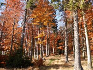 Ferienwohnung Am Apelsberg
