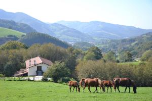 Talu CASA RURAL Arriaran Leitza Hispaania