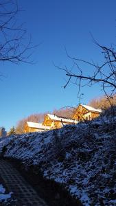 Podbucznik Beskidy 2 Mosorny