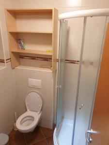 Apartma DA-LI SPORTS -ROGLA