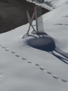 Ferienwohnung Frauenschuh