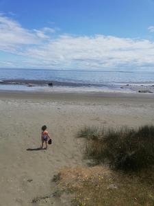 CABAÑA HUALAIHUE AUSTRAL