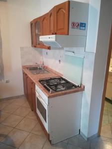 One-Bedroom Apartment with Terrace room in Apartments by the sea Novalja Pag - 17973