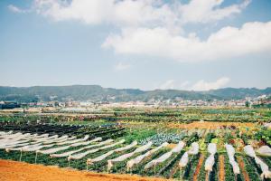 Azalea Residences Baguio