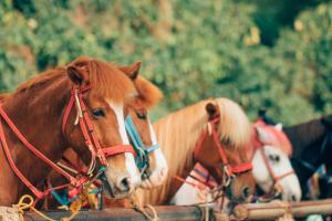 Azalea Residences Baguio