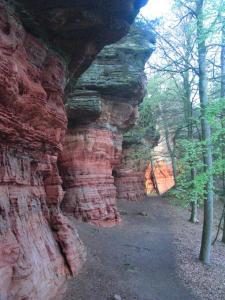 Appartements Le Gite du Fort : photos des chambres