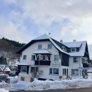 Apartament Haus am Stryckweg Willingen Niemcy