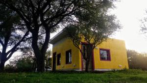 apartamento VINTAGE IVA