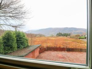 Little Tigh Clovelly