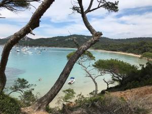 Appartements 2 pieces avec grande terrasse - Centre de Toulon : photos des chambres