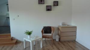 Sagette photo 15