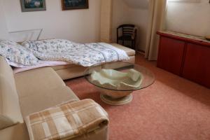 Apartment mit Gartenblick und kleines Apartment im 3 Familienhaus