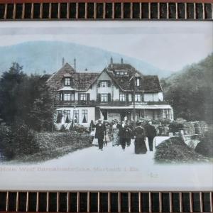 Le Saint Barnabe & Spa - near Guebwiller photo 15