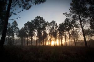 Maisons de vacances La Cabanote : photos des chambres