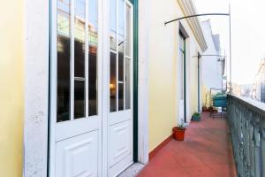 Rato Elegant by Homing